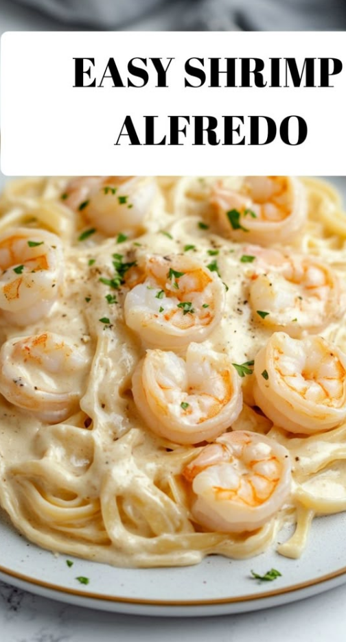 Easy Shrimp Alfredo